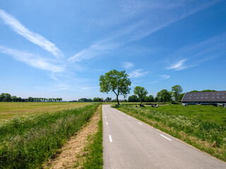 Groningen landscape along the Heemweg near Westerwijtwerd