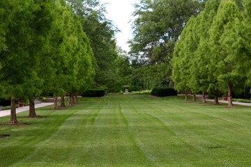 The beautiful green lawn in the park.