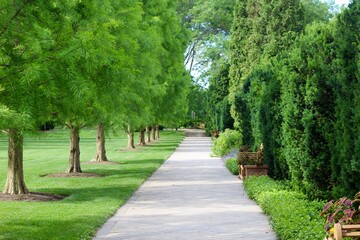 The long empty pathway in the park on a summer day.