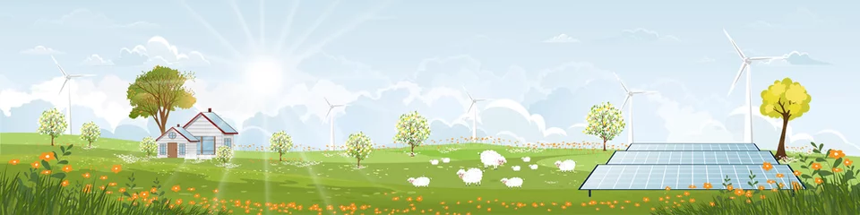 Zelfklevend Fotobehang Green energy,Eco friendly in village, Solar house and windmill power with morning light on Spring,Vector solar farm field with sheeps in sunny day summer.Cartoon environmentally friendly © Anchalee