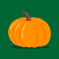 Pumpkin, isolated flat vector illustration