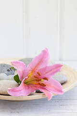 Obraz na płótnie Canvas Zen Style Flower Still Life With Pebble
