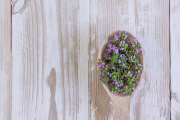 Obraz na płótnie Canvas blooming thyme in a wooden spoon on a wooden background with copy space. spices, seasonings, medicinal herbs.