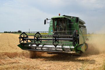 Zrenjanin Serbia Harvesting of grain has begun