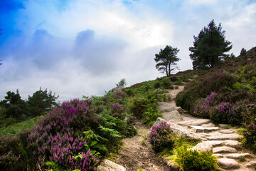 Obraz premium Hiking trail in Aberdeenshire, Scotland, UK