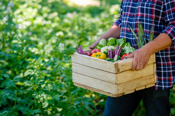 The farmer is carrying a wooden box with fresh vegetables. Harvest concept