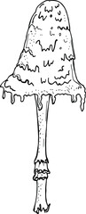 sketch of a mushroom. vector illustration