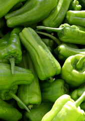 organic and fresh green bell peppers