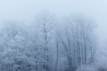 A frosty morning in the countryside