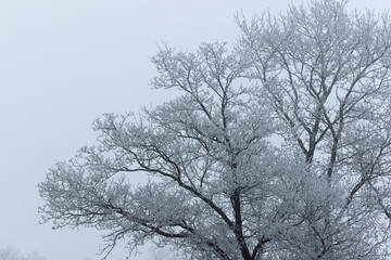 A frosty morning in the countryside