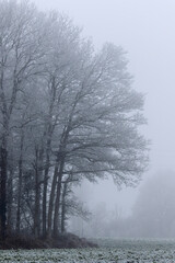 A frosty morning in the countryside