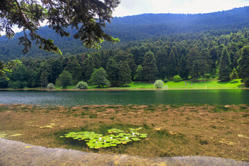 lake in the mountains