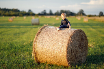 Naklejka na ściany i meble The little boy sits on a large roll of hay in a green meadow