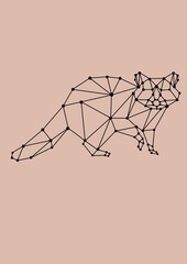 RACCOON LOW POLY BACKGROUND ANIMALS WILD NATURE 