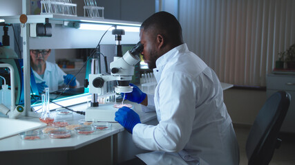 Black scientist examining lab meat under microscope