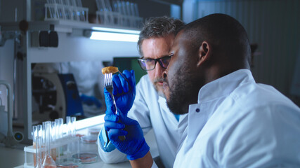 Mature scientist watching black colleague eating cell based meat