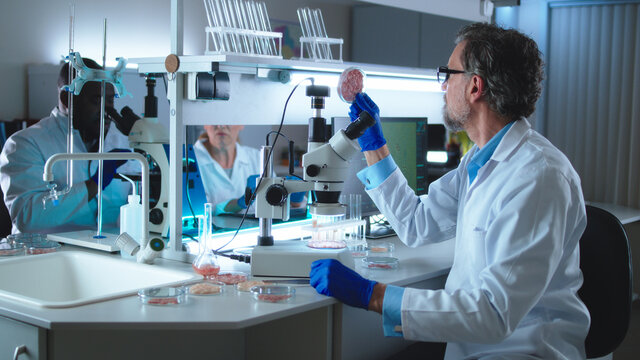Middle aged scientist examining cell meat near colleagues