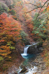 秋の渓谷（山梨県_西沢渓谷）