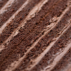 Chocolate cake texture or background. Piece of brown layered dessert with cream. Close-up shot. Soft focus.