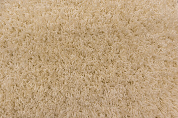 beautiful carpet texture close-up as a background