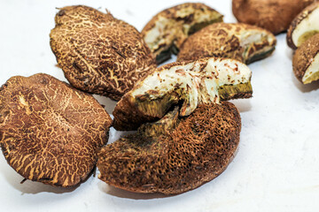 Fractured flywheel Xerocomus mushrooms with worms inside.