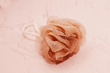 Plastic shower sponge in a mesh on a light background.