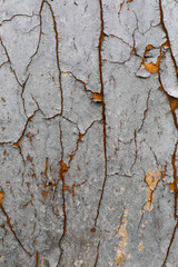 grey, orange texture wall background. Cracked, aged paint, industrial material. Background for design and presentations.
