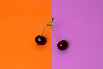 Two cherries are connected by their branches and each of them is on its own half of the background color. A subject shot of a cherry on a colorful background.