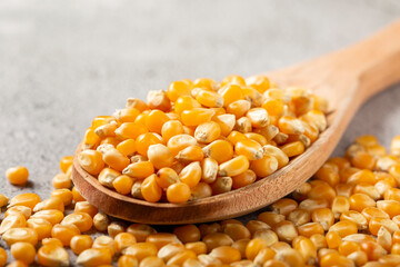 Dried corn. Raw corn for popcorn on the table.