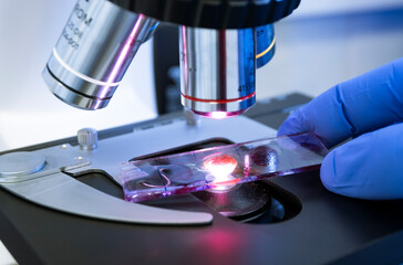 Scientist puts a sample under a microscope magnification to study, the close-up.