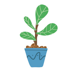 Fiddle leaf tree in ceramic pot on white background. Ficus Lyrata vector illustration.