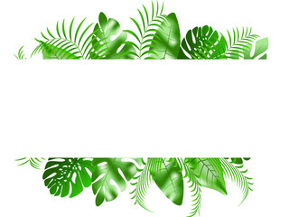 vector frame of leaves of exotic tropical plants . rainforest vegetetion