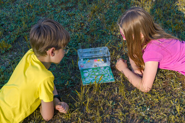 Two children watching ants in an ant farm in nature