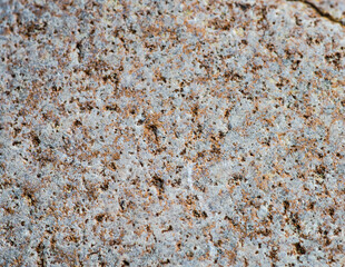 Textured sea stone background
