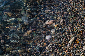 Beach stones as a background