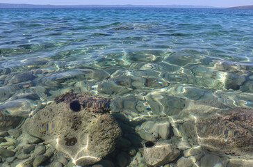 Picturesque bay on the Adriatic coast with clear azure water, sea urchins on rocks under water