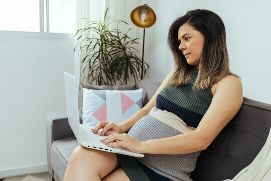Pregnant woman sitting on sofa using laptop. Concept of pregnant woman working from home
