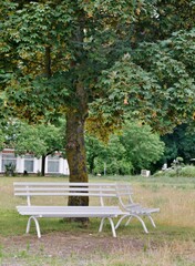 Fototapeta na wymiar Weiße Parkbank unter Baum