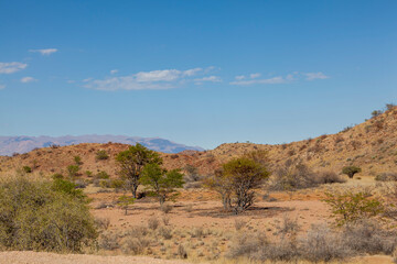 Auf den Weg ins Erongogebirge, Namibia