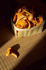 chanterelle mushrooms © Gromsky