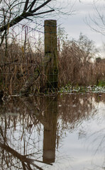 A flooded walking path