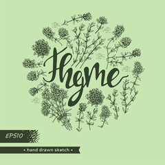 Circle filled twig of thyme with leaves and flowers and lettering Thyme. - obrazy, fototapety, plakaty