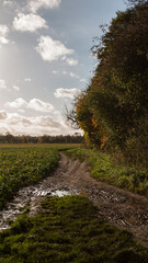 A muddy path through a field