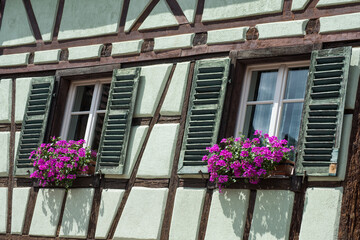 Fototapeta na wymiar closeup of pink geraniums on medieval building facade in the street