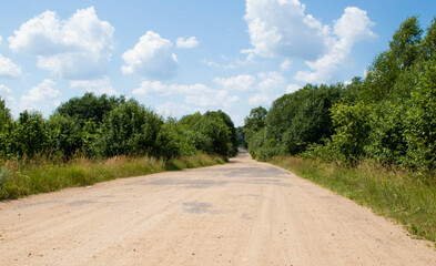 scenic country road with single tree and heavy clouds