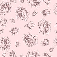 Seamless Pattern with Roses . Detailed hand-drawn sketches, vector