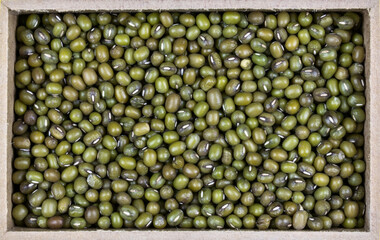 top view of Green bean or mung bean or moyashi bean (Vigna radiata) seeds in a rectangular wooden box.