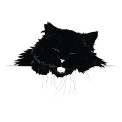 Vector illustration. Advertising space. Black silhouette of a domestic fluffy cat isolated on white background. EPS 8.