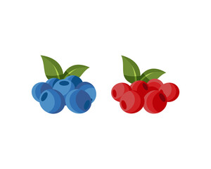 berries(Vaccinium sp) isolated on a white background