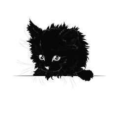 Vector illustration. Advertising space. Black silhouette of a domestic fluffy kitten isolated on white background. EPS 8.